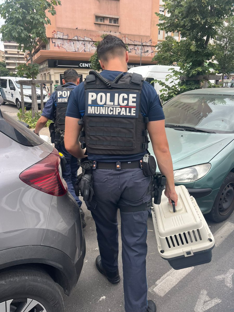 PMMarseille's tweet photo. 🛵 Hier, sur signalement d'une association et réquisition OPJ, la Brigade Scootériste Centre a secouru 5 chats enfermés depuis décembre dans un garage souterrain secteur Sakakini, dans le noir complet. 4 adultes et un nouveau-né désormais pris en charge. 🐱 https://t.co/OB2wIf1q9r