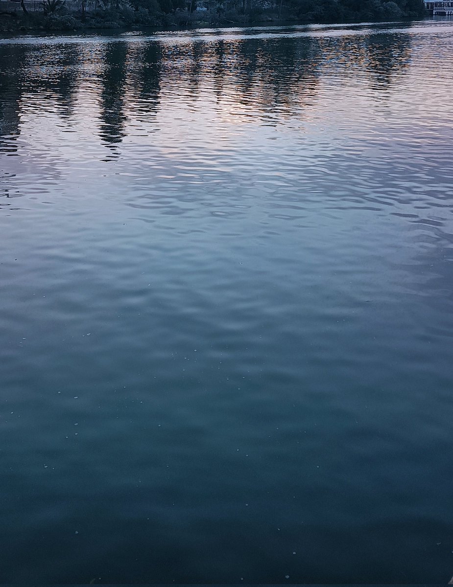 bertcarfer's tweet photo. Me quedé mirando al río el tiempo suficiente como para que solo hubiera río, agua, movimiento... Todo lo demás, incluso yo, sobre todo yo, disuelto en él... https://t.co/53Lymd8FqI