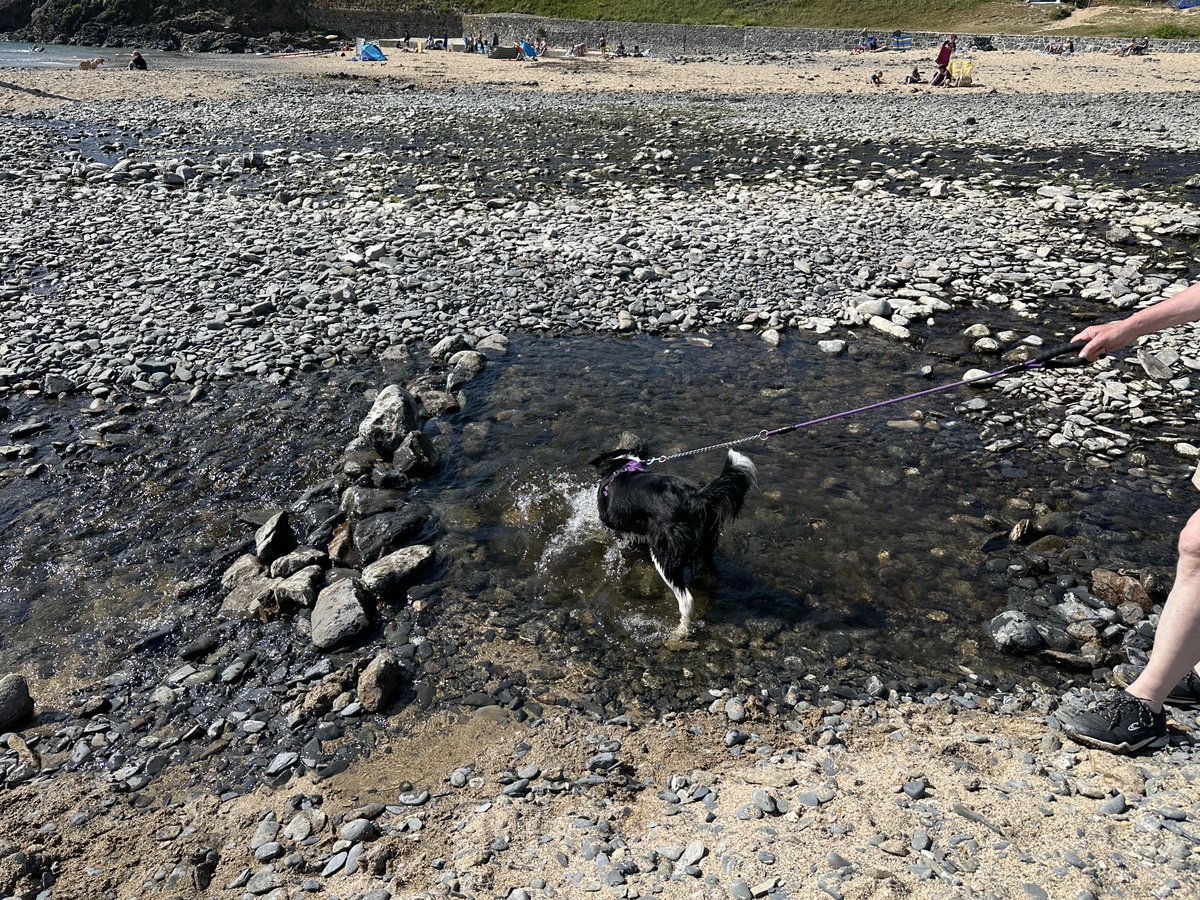KinlochSusan's tweet photo. Poldhu beach #memories #holiday #cornwall https://t.co/0NbeJzJxI0