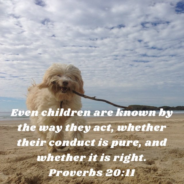PastorWas's tweet photo. Everyone needs to understand this verse …
The fruit of our lives. 

Blessya!
  #lovegod #lovepeople https://t.co/TUqAtYG0cS
