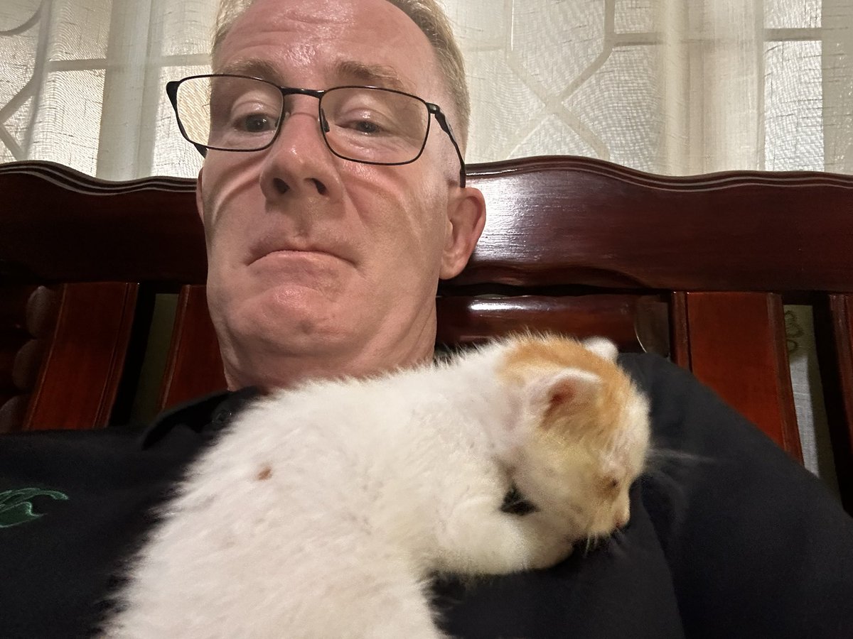 pjdcampbell's tweet photo. New addition to the household. Meet “Queenie”. Rescued by my wife as she was apparently abandoned and in really bad shape. With the grace of God may she have a second chance of life. 🙏🐈

#kittenrescue #secondchancekitten #kittenmilkreplacement #kmr https://t.co/6Jnz7i4ilr