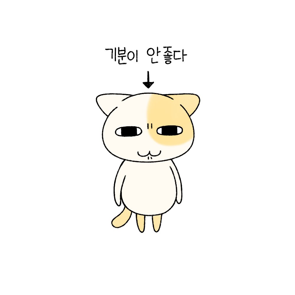 묘냥이와 멍구 tweet media