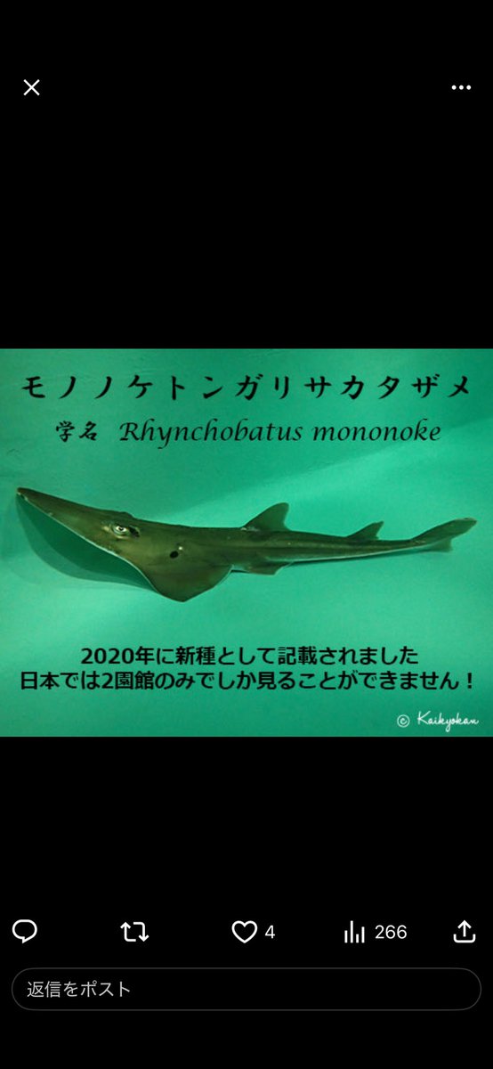 R43Fw6's tweet photo. @dq10_kirameki チャッピーに頼ってみたらこうなりましたよw https://t.co/Me0w5ujEWb