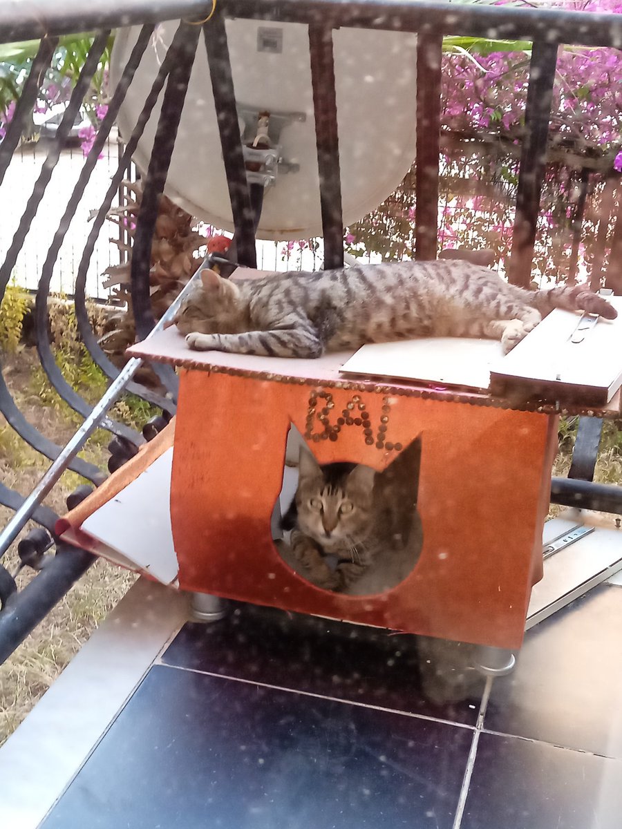 yesmish's tweet photo. За кованной решёткой, и в тени
Лежат два мира, словно в капле ртути
Один уснул, забыв про злые дни,
Другой застыл в оранжевом уюте https://t.co/vJi1KNhCiz