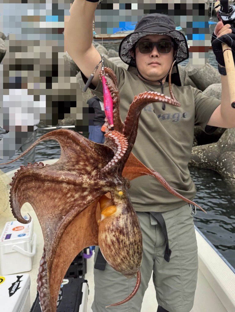 タコ 2日でタコ4連チャン、ありがとうございました🐙 調査も兼ねてエリア