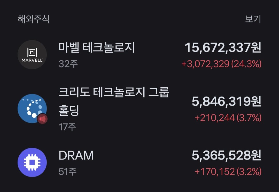 gingerbot157833's tweet photo. 반도체 대호황에 굴복해버렸읍니다...
$MRVL $DRAM https://t.co/khniadj95d