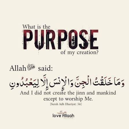 MuslimSocialApp's tweet photo. @masha_slp @masha_slp  hopefully this answers your question. https://t.co/IHGH6GqEqN