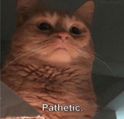 swftbb's tweet photo. opening twitter and seeing the lack of conviction https://t.co/YRfHywZ1Qa