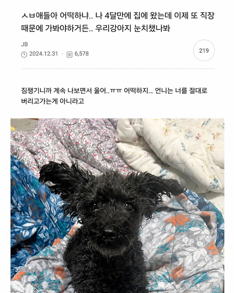 healing_storage's tweet photo. 어떡해 내가 다 눈물나... https://t.co/ontIXyCZc0