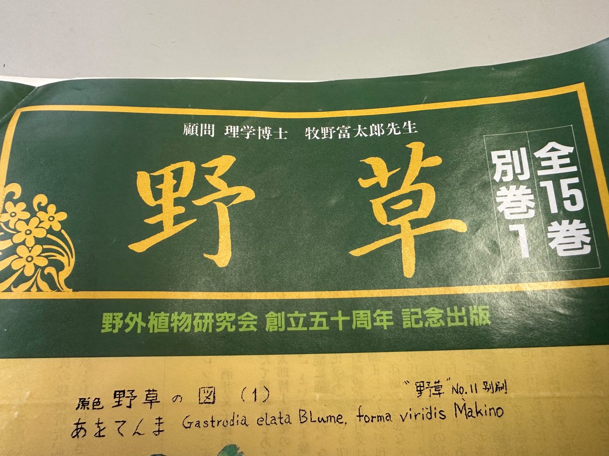 Linneon_sp's tweet photo. なんかどこかで、こんなフォントのシャツとか見たな。 https://t.co/ulsiTX3BOC