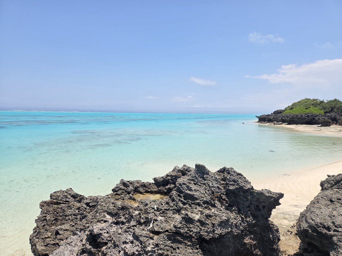 tU4qoA63fFVZC4j's tweet photo. 与論島🏝️
🌞今日も良い🌊 https://t.co/ljUhdIwpKu
