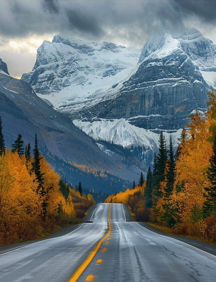 Magical__views7's tweet photo. Scenic highway in Alaska-Canada 😍 https://t.co/a7lma3X92h