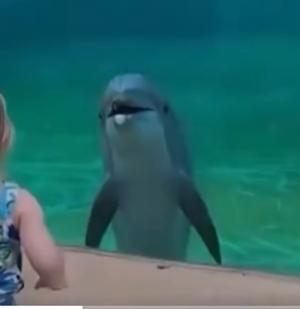 NemoGoMeow's tweet photo. @depressionlesss "AYYYYYY WHAT UP LITTLE DUDE?" https://t.co/vFzywYdpkh