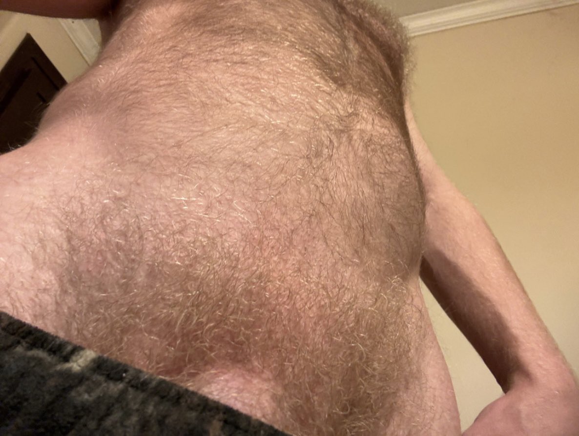 lostzombie714's tweet photo. Come cuddle up to this. https://t.co/zfcjGQVmfX