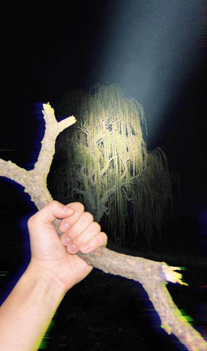 Willow Tree tweet media