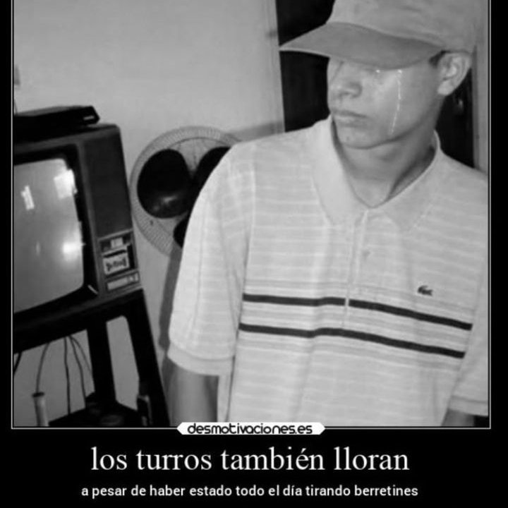#que #carajianos tweet media