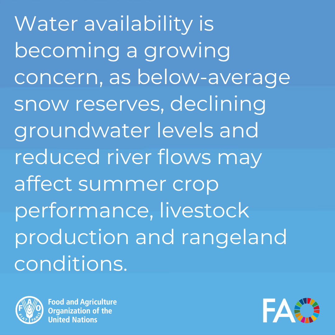 FAOAfghanistan's tweet photo. Swipe through to read some key findings👇

Read full report here: https://t.co/UmPnjUsSpZ https://t.co/GVq2r27cwJ
