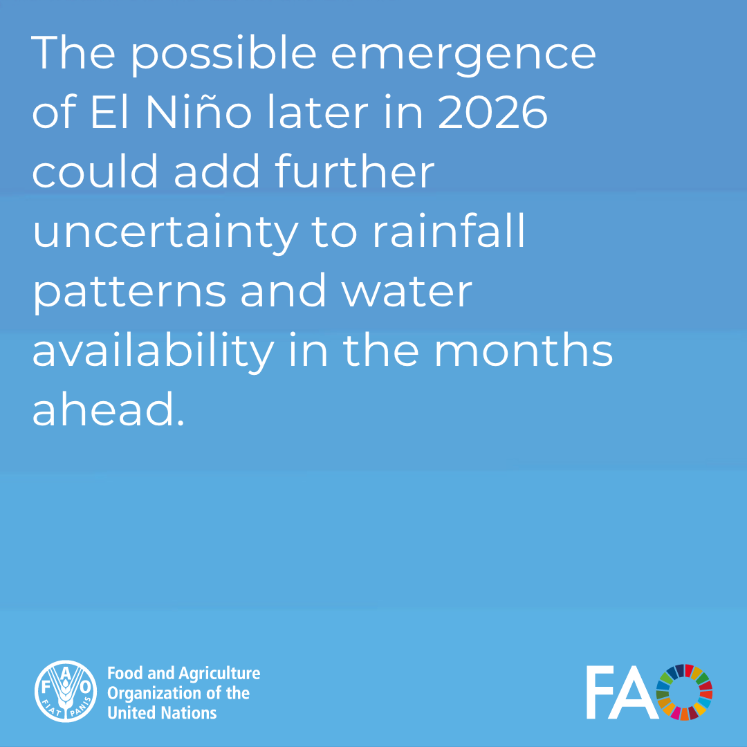 FAOAfghanistan's tweet photo. Swipe through to read some key findings👇

Read full report here: https://t.co/UmPnjUsSpZ https://t.co/GVq2r27cwJ