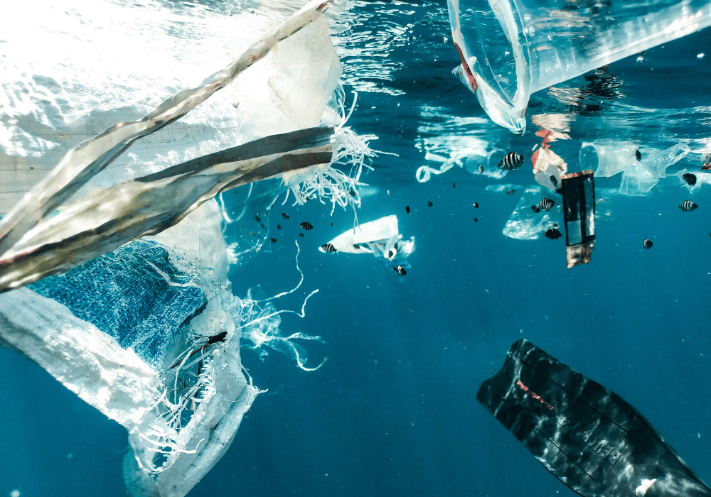 infrastructure4's tweet photo. ♻️ South Africa is being urged to take tougher action on plastic pollution.

Stronger measures could help reduce waste, protect ecosystems and support the country's circular economy goals.

🔗Read more: https://t.co/l3e4IUX62U https://t.co/rOZhUguFQe
