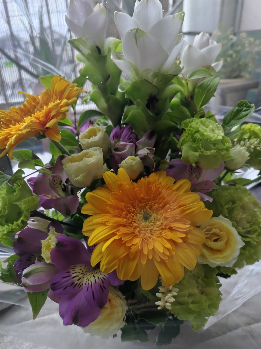 etot0809's tweet photo. お世話になった動物病院かられおくん宛にとても素敵なお花が届きました。
いつも心に寄り添って下さる先生や看護師さんのいる素晴らしい病院です。
いつもれおくんや私達家族に優しくして下さりありがとうございました😭
#ステラタウン動物病院 https://t.co/bPpSbLIiOJ