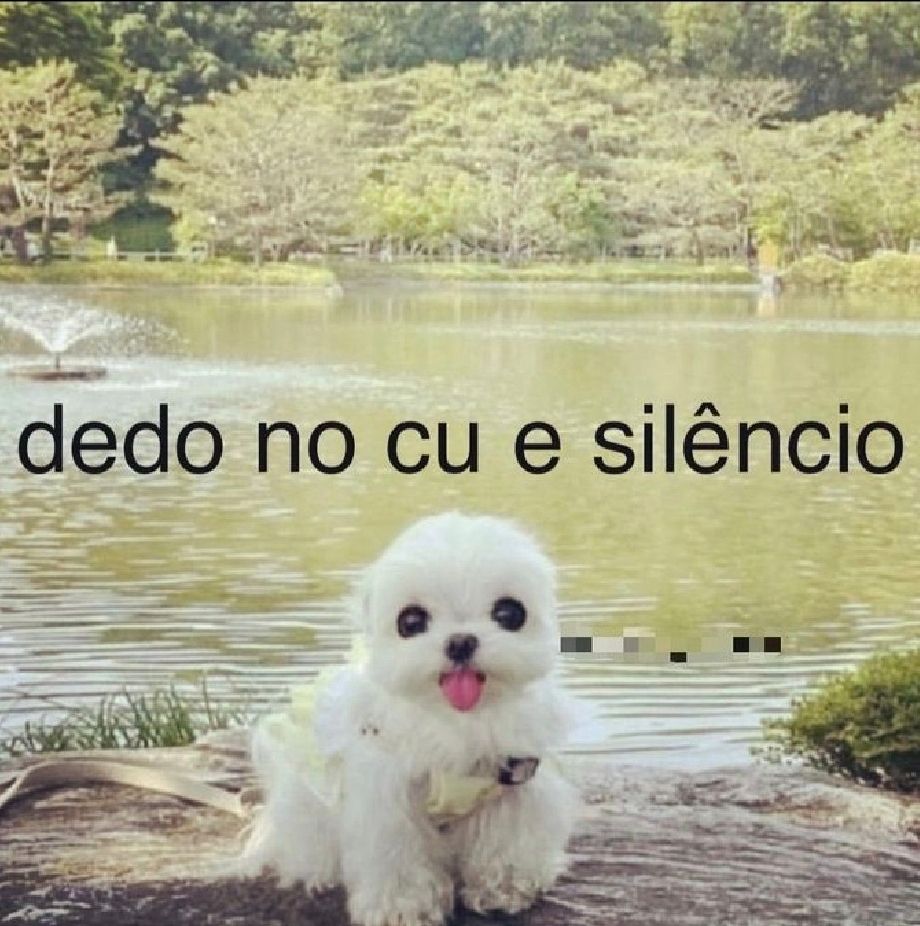 momorsa's tweet photo. rindo me pediram pra fazer uma tiragem extra la do ovni pra ver se dava pra perguntar do que se tratava ou se sairia algo muito abstrato. eu achei que ia sair algo abstrato mas Fiquei Curiosa

&amp; não gostei do que vi kkkkk estarei fechando fodase https://t.co/CdHU9bnC2s
