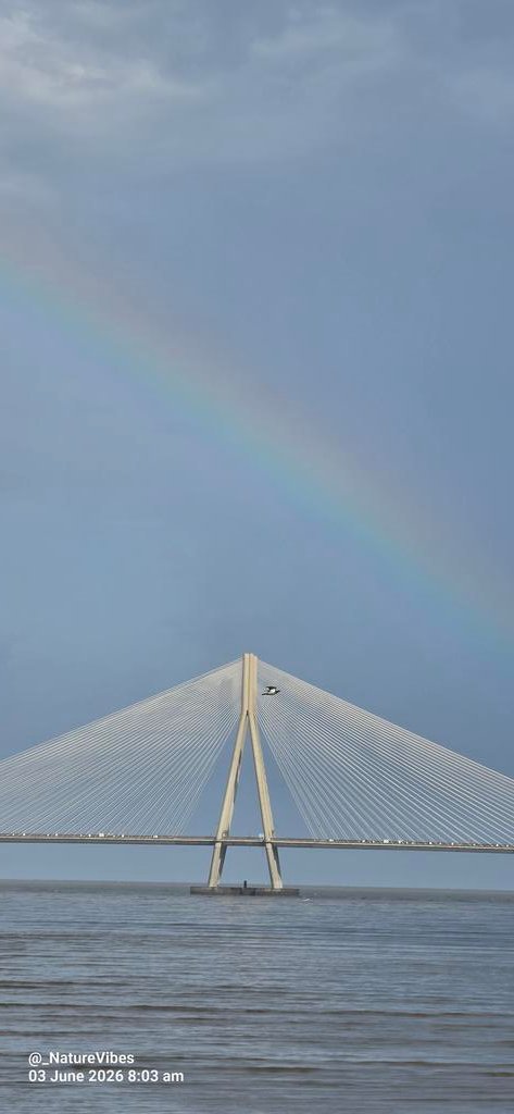 _NatureVibes's tweet photo. @richapintoi The Sea Link got a rainbow upgrade today. https://t.co/FSCD2NjNgM