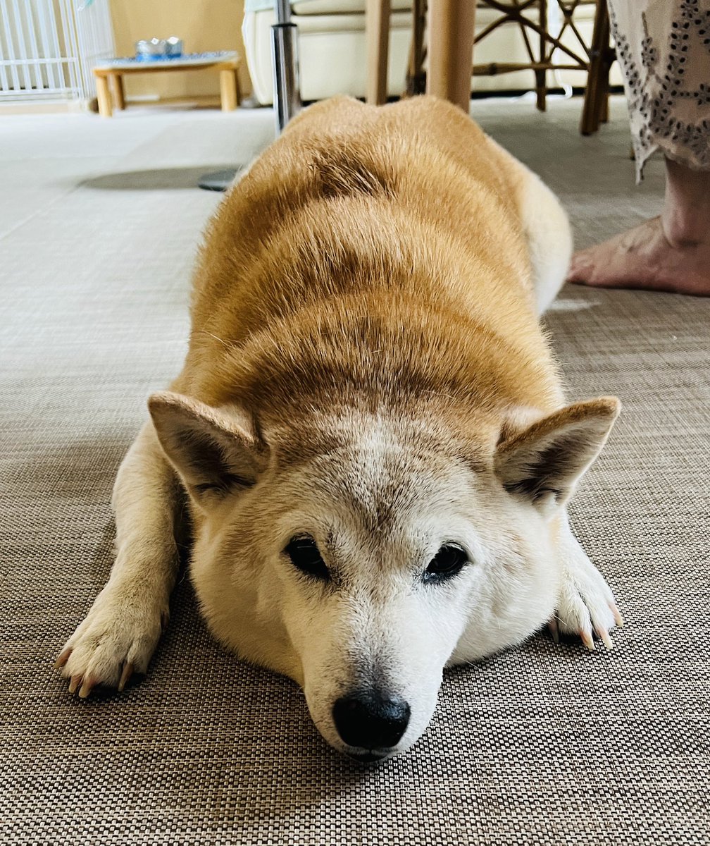 muraiayako's tweet photo. 映画館に行きたかったけど台風のため予定変更して今月の予定表作ってたらなーんかゾッとしちゃった(笑)映画館に行ってる場合なのかこれは。今日はゆっくり休んで明日行きなさいってことなのかもね(結局行くんだ)。 https://t.co/a4Irqo1z5o