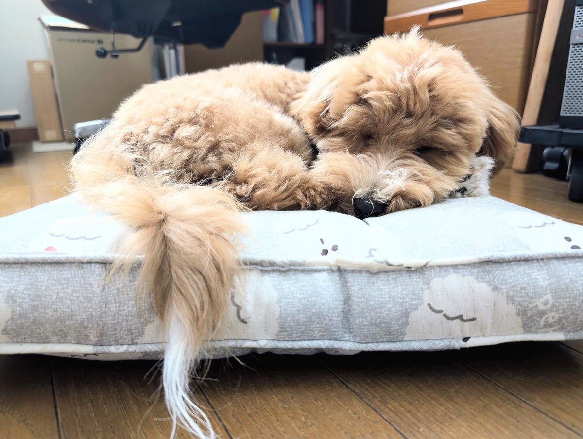 127Forlorn's tweet photo. 明日、金の玉(ｷﾞｮｸ)が無くなる漢。 https://t.co/1bXsRGtBj0