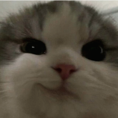 Chaimelo's tweet photo. heh https://t.co/9NxFfIVMlo