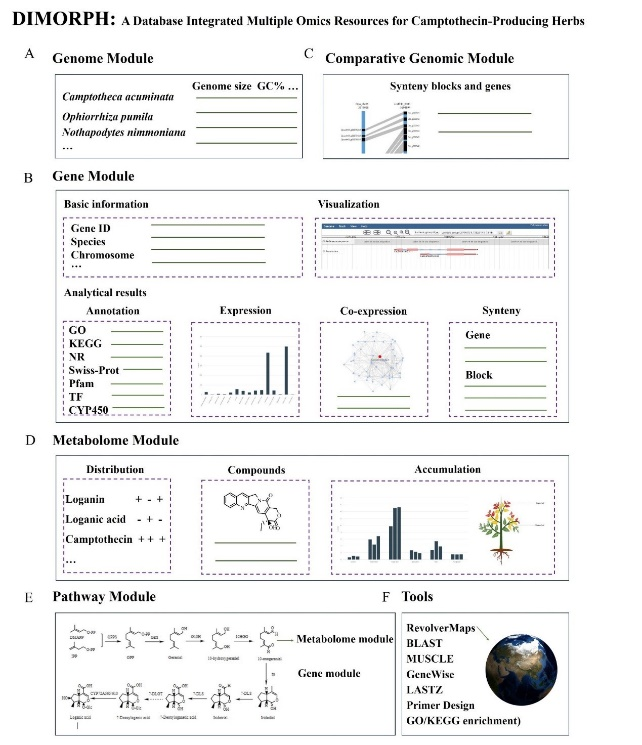 MolHort's tweet photo. 📑DIMORPH: an integrated multi-omics resource for camptothecin-producing plants
https://t.co/t4jwGrLm1C
@PlantEditors https://t.co/DtUTZJYhF0