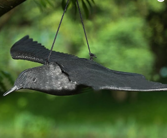 ymasax's tweet photo. @misslanvin000 鳩やその他の鳥を避けるために
カラスが農機具と一緒に売ってますけど
それよりリアルに作られているんですね。

なお、鷹も売ってます。 https://t.co/QsJ9YTOW4Z