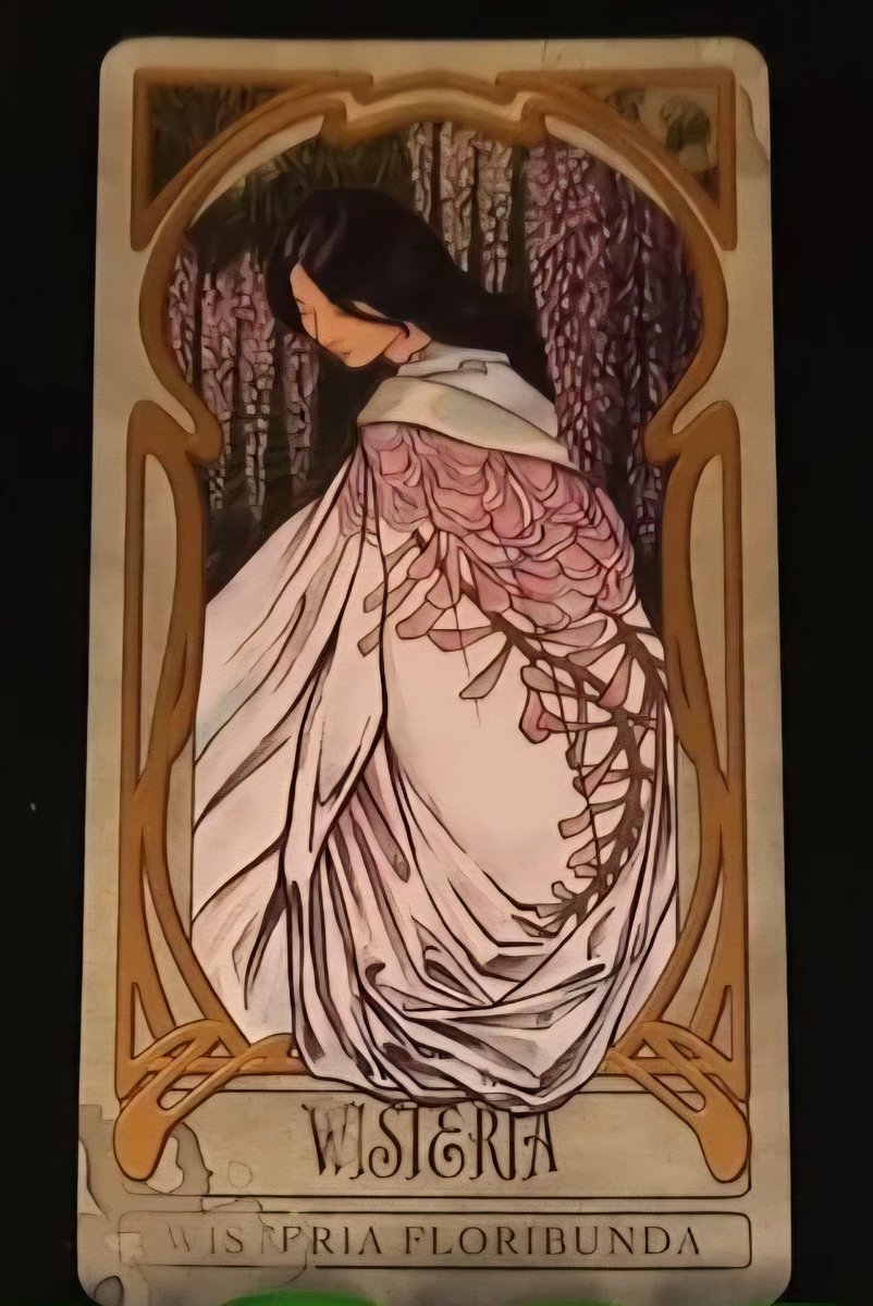 WOracles's tweet photo. Wisteria gifts you a boost in your psychic receptiveness &amp; keeps you connected through a thinned veil to your higher self &amp; spiritual guides
Have you felt disconnected from your purpose or your love lately ? You are being asked to do what you can to feel connected &amp; engaged again https://t.co/Db6TukYkmz