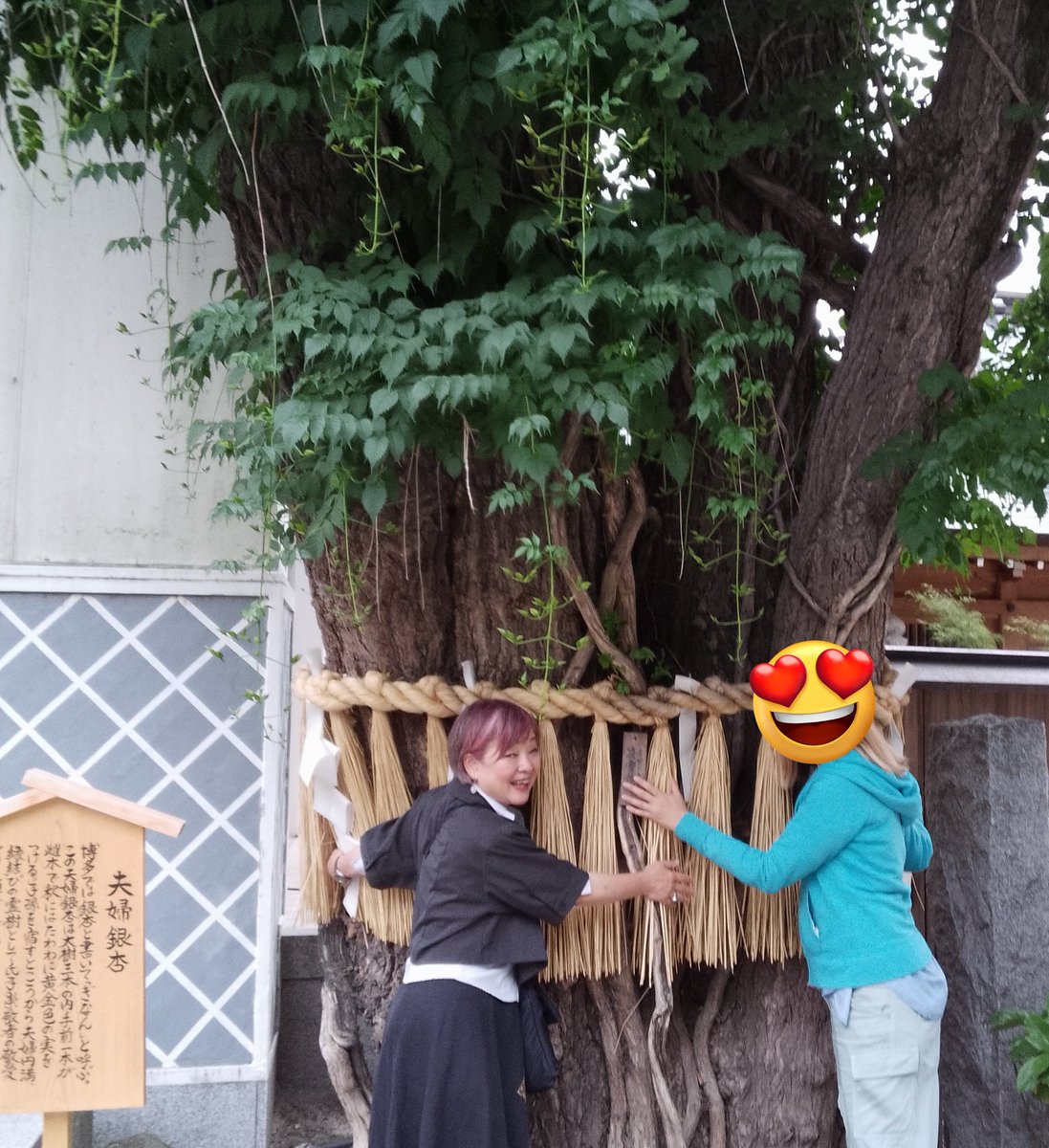 SONOGAdidi's tweet photo. @761daytime @Annah1020 アンナちゃん、メルハバ🇹🇷
またトルコ団体のツアーで今日が9日目。東京から福岡にやってきましたよ！今トルコのバイラムという期間でたくさんのトルコ人が来日しています。立ち寄りのSAでも違うツアーのトルコ人同士で「ハッピーバイラム！」みんな陽気🇹🇷
#761daytime https://t.co/DrCtRKSeY1