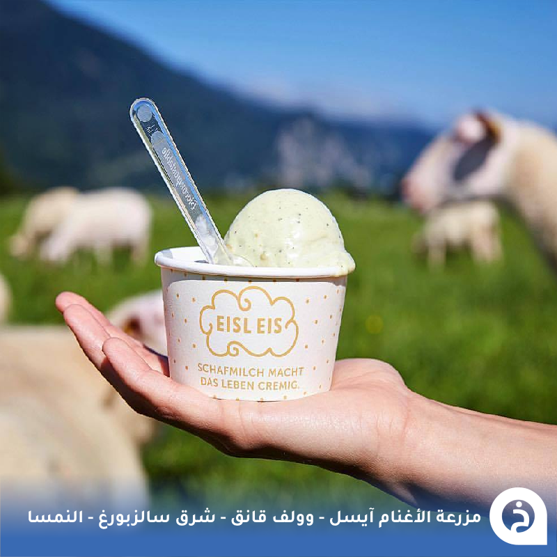 TouristMapsApp's tweet photo. مزرعة الأغنام آيسل #النمسا🇦🇹 

من أفضل مزارع الأغنام بجوار بُحيرة #وولف_قانق التي تبعد "نصف ساعة" من #سالزبورغ متخصصه في إنتاج أنواع متعددة من الآيسكريم والأجبان من حليب الأغنام الطازج وتوفّر خدمة الشراء الذاتي 24ساعة🐑🥛🍦🍨🧀😍↓
Eisl Farm
📍https://t.co/Bb5Rb7Ekay

• مُضاف في خريطة النمسا السياحية.