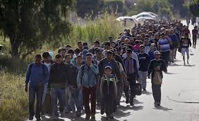 paddymacc1's tweet photo. On Friday week, the Irish government is relinquishing control of Ireland's borders to the EU

From that day on the EU will decide on the number of migrants we MUST accept, or face a fine of €20,000 for each person refused. https://t.co/TyXB58Byvb