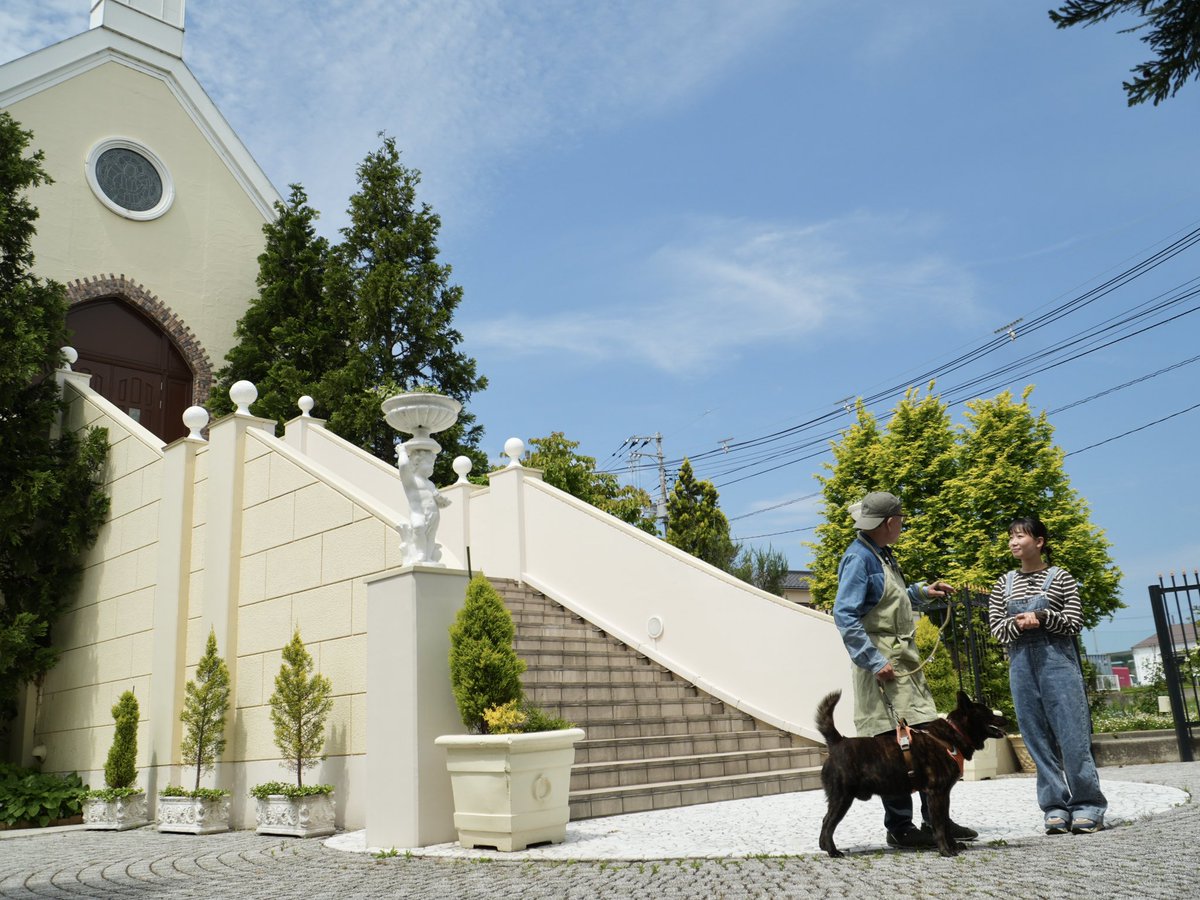 TSUNEI's tweet photo. 先日オンエアされた
『動物ふれあい旅』
　
【R+cafe】さん🐶

ブログに書きました♪
👉 https://t.co/h6DNwnzpFR

#動物ふれあい旅
#なじラテ
#TSUNEI https://t.co/lMg5yalDug