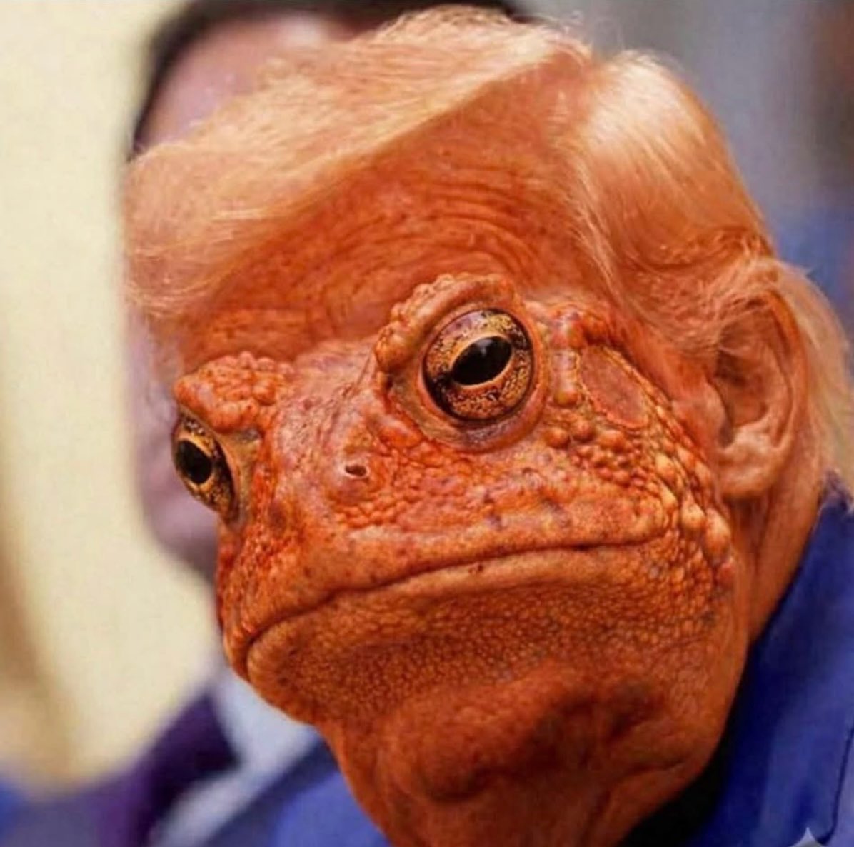 KirstyBain65's tweet photo. @marlene4719 @quatro_suz72747 Hard to believe he has such a delusional high opinion of his own appearance. Are all the mirrors in the White House covered?
#UglyInsideAndOut https://t.co/XnFyWaemsW