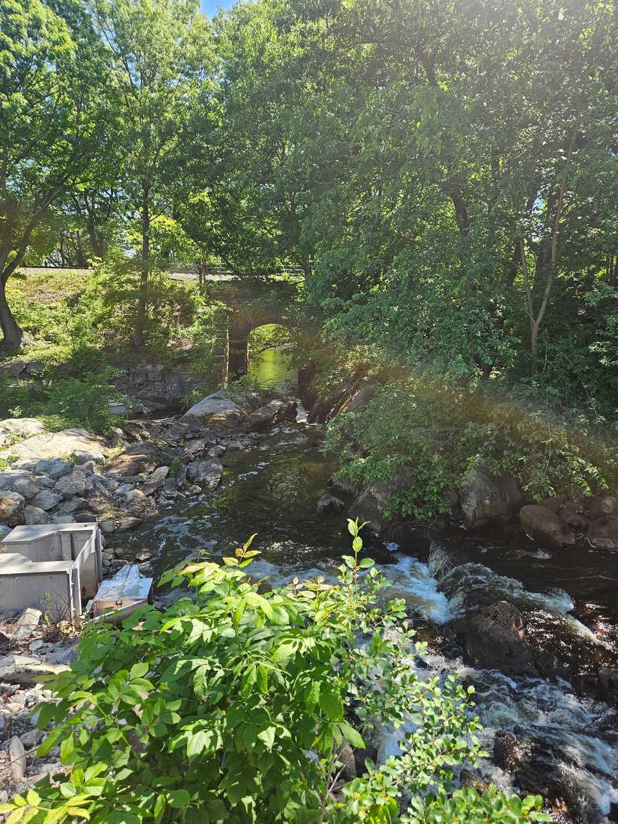 dringius1's tweet photo. A great way to start the morning- a cup of coffee and a walk along the Monatiquot Riverwalk. 

The walking bridge is a welcome addition, and has created a wonderful opportunity to take in some nature and start the day out right. https://t.co/lwKcfJisp2