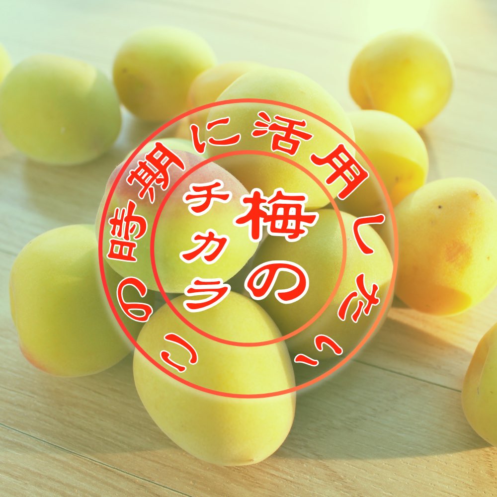 yurine_soracle's tweet photo. 古くから魔除けや厄除けに使われてきた"梅"

今回はそんな梅の、ちょっとした活用方法などについて書かせて頂きました。

コラムはこちらから⬇
https://t.co/rpI1OUCMoV

#Soracle
#大阪占い
#梅田占い
#スピリチュアル
#占い
#陰陽 https://t.co/Rn02Xtdmh3
