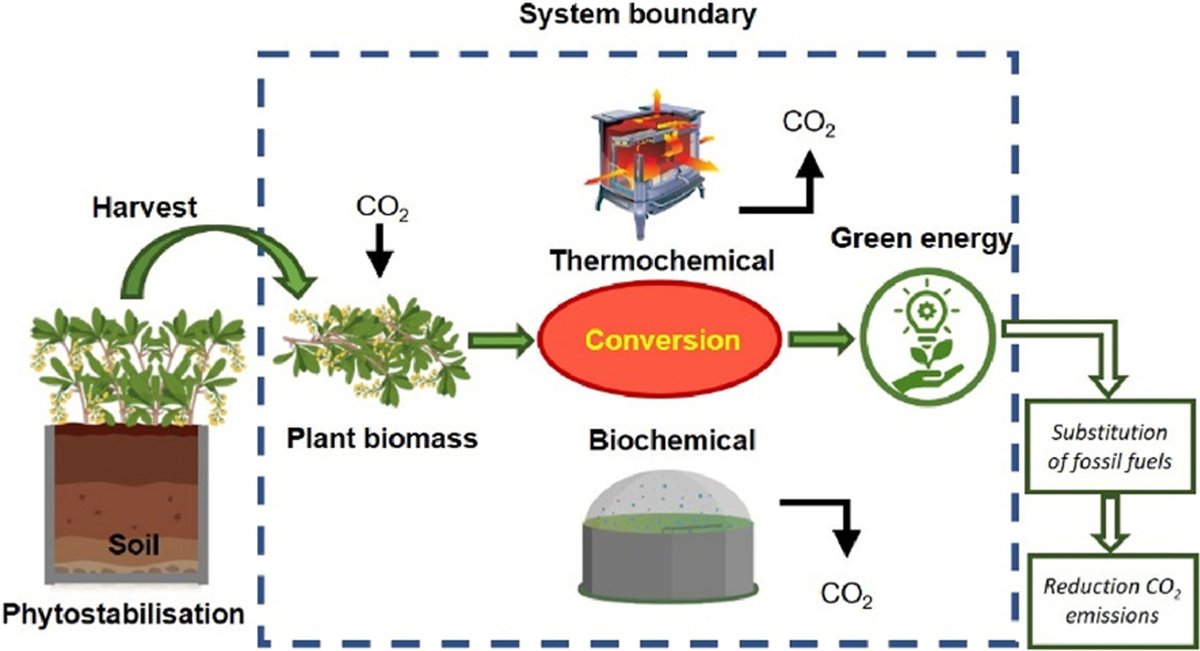 soileh2023's tweet photo. Editor's Choice: Combustion outperforms anaerobic digestion for bioenergy recovery from Mediterranean plants used in phytostabilization of metal-contaminated soil. Highly recommended reading! 
#soilhealth #PTEs @soileh2023 @ElsevierConnect 
https://t.co/Q0Tcqc3xMr https://t.co/4lkbeRvfTx
