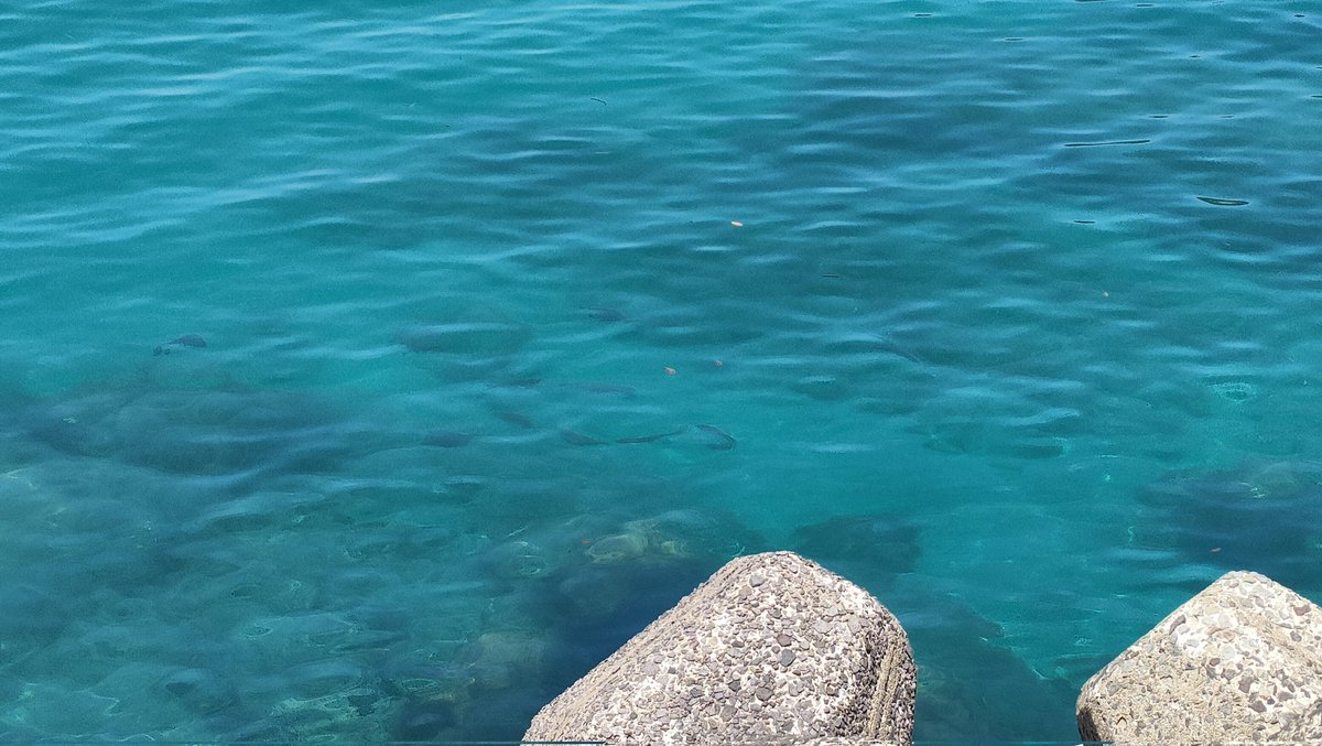 UgomekiMushi's tweet photo. 上五島は本当に海が綺麗でした…
透き通っててメジナの群れがよく見えた（釣れなかった） https://t.co/ew1nkaPFH9