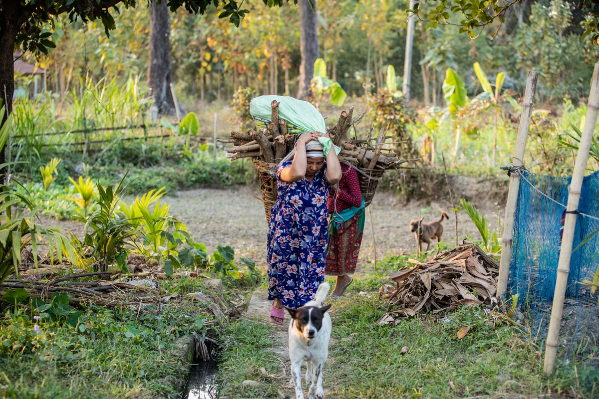 ILO_Nepal's tweet photo. Everyone deserves dignity and fairness at work.  

International Labour Standards make it possible. 

#ILC2026 #DecentWork  #SocialJustice. https://t.co/bMyvmE1tKE