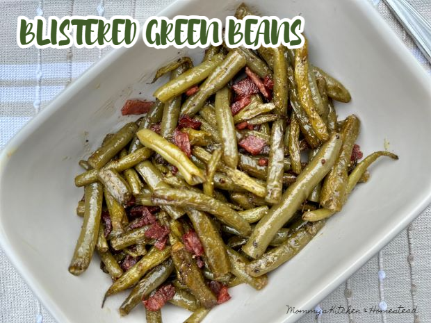 mommyskitchen's tweet photo. Blistered green beans is a simple side dish that is easy to prepare; it involves quickly cooking green beans in a hot skillet just until they blister and caramelize. #dinner #mommyskitchen https://t.co/O98C9SuK50 https://t.co/sHmUPfsfSa