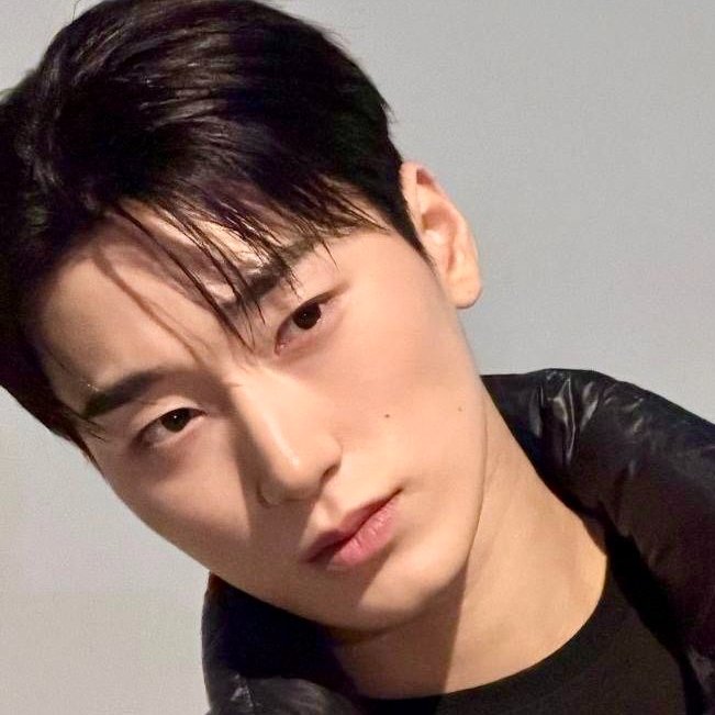 saniesbaby's tweet photo. but like..... https://t.co/l1qHpG4bfB