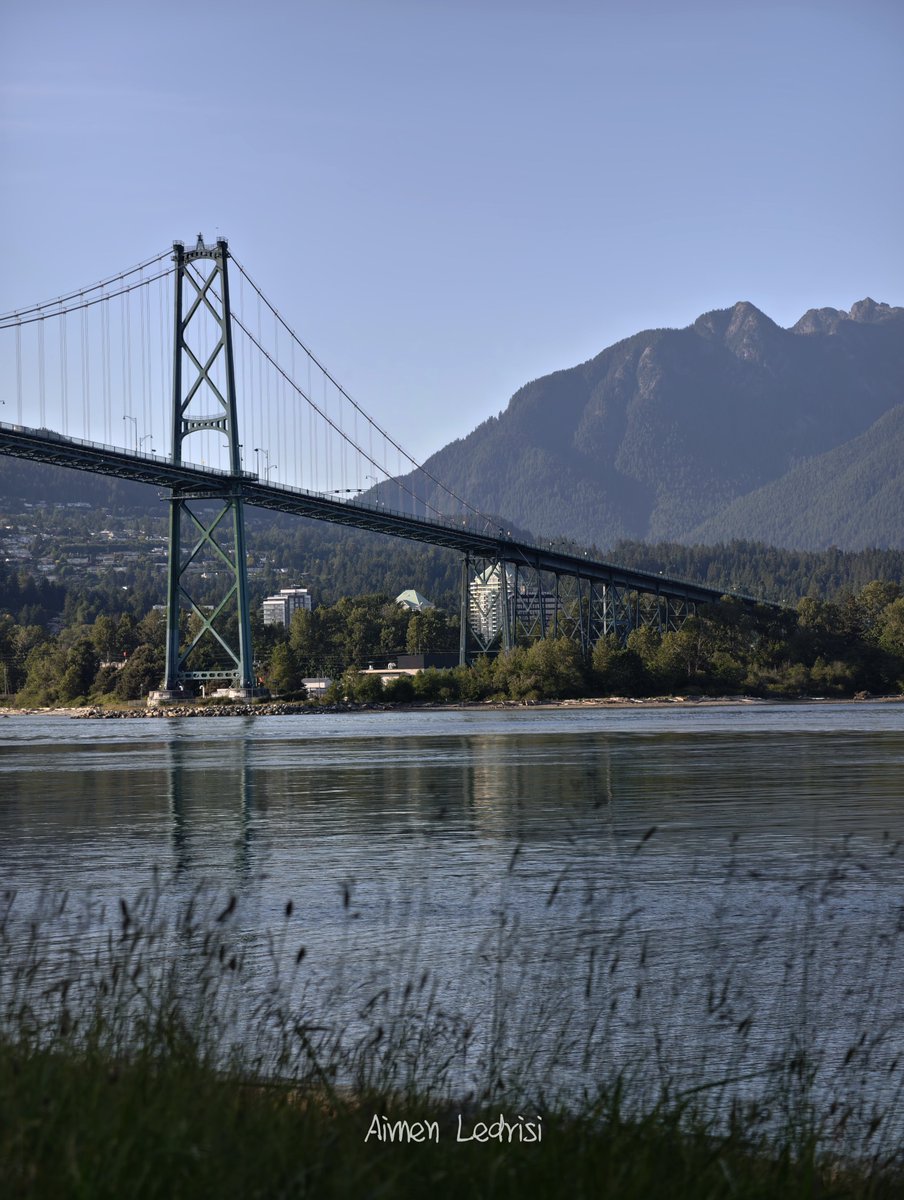Ay_Ledris's tweet photo. "Random Shots From Vancouver, British Columbia, Canada." 🇨🇦
.
.
#vivox100ultra #shotonvivo #vancouver #stanleypark #landscapephotography #streetphotography #candidshots
.
@vivo_europe @Vivo_GLOBAL @Snapdragon https://t.co/EXMI5dXCYC