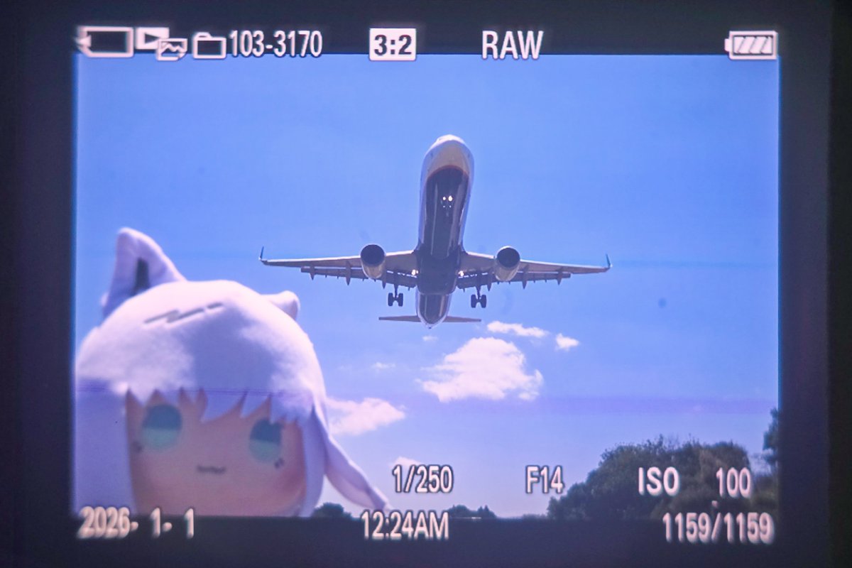 Noak_at's tweet photo. ひる🌽～ ✈️
#すこん部 https://t.co/Uyf2ycN12L