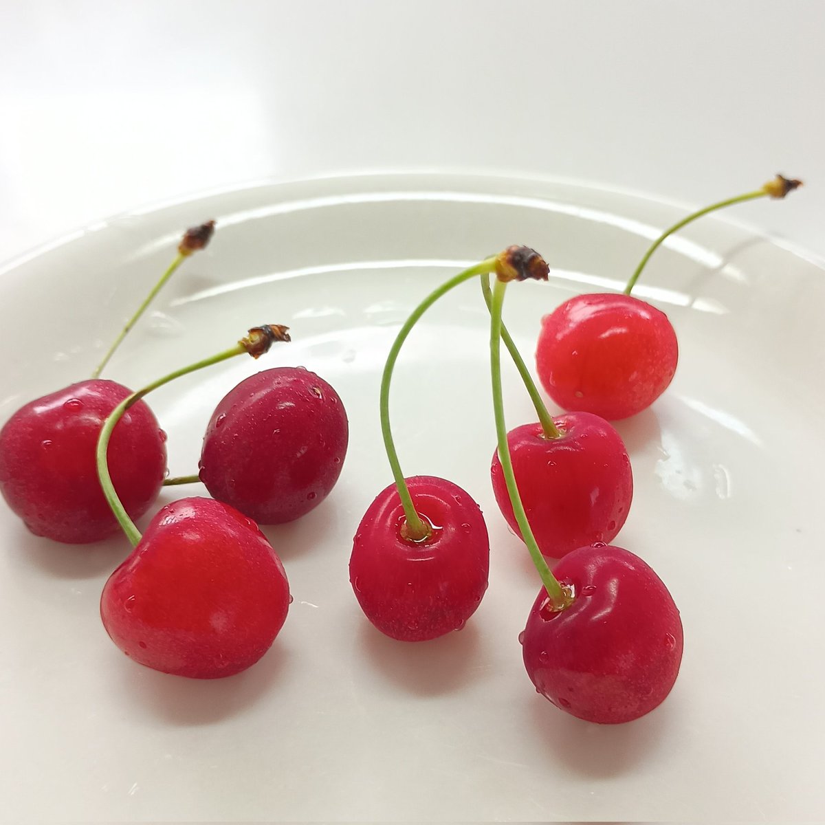 chie_botani's tweet photo. ラッキーな気分さくらんぼ三姉妹🍒
#さくらんぼ https://t.co/VqrhL0ZaKK