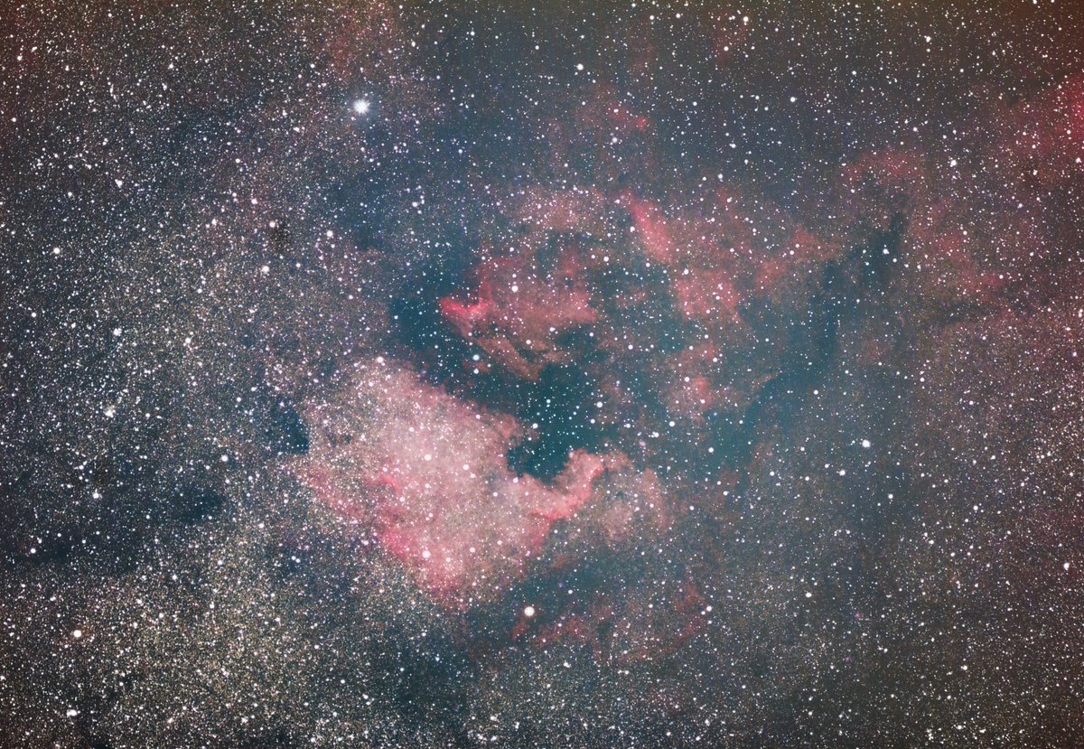 SharpStarAstro's tweet photo. My image of the North America nebula what a summer beauty! https://t.co/mstOlKvEpt