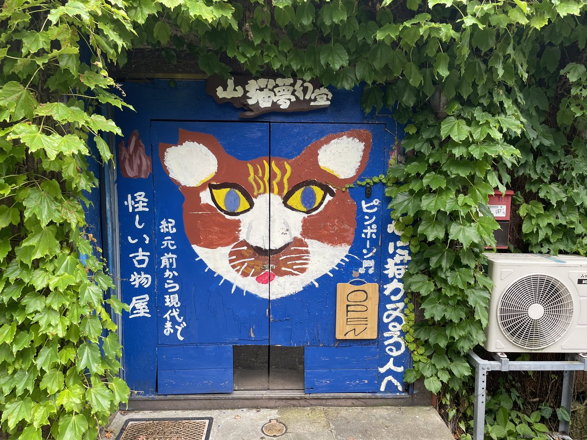 epique7's tweet photo. https://t.co/y7SVpgpuLO
#山猫無限堂 #怪しい古物屋 #蔦絡まりすぎ #マルガージェラート #トーストホワイトチョコとブラウンシュガー #マンゴーオレンジ 
#ピニャコラーダ #って何 #知らんけど #言ってみたかった https://t.co/keIXSHbkHB