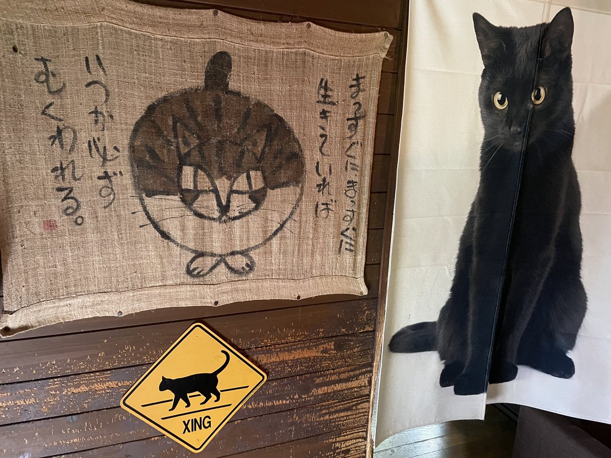 epique7's tweet photo. https://t.co/y7SVpgpuLO
#山猫無限堂 #怪しい古物屋 #蔦絡まりすぎ #マルガージェラート #トーストホワイトチョコとブラウンシュガー #マンゴーオレンジ 
#ピニャコラーダ #って何 #知らんけど #言ってみたかった https://t.co/keIXSHbkHB